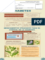 Plantas Medicinales Utilizadas en La Diabetes
