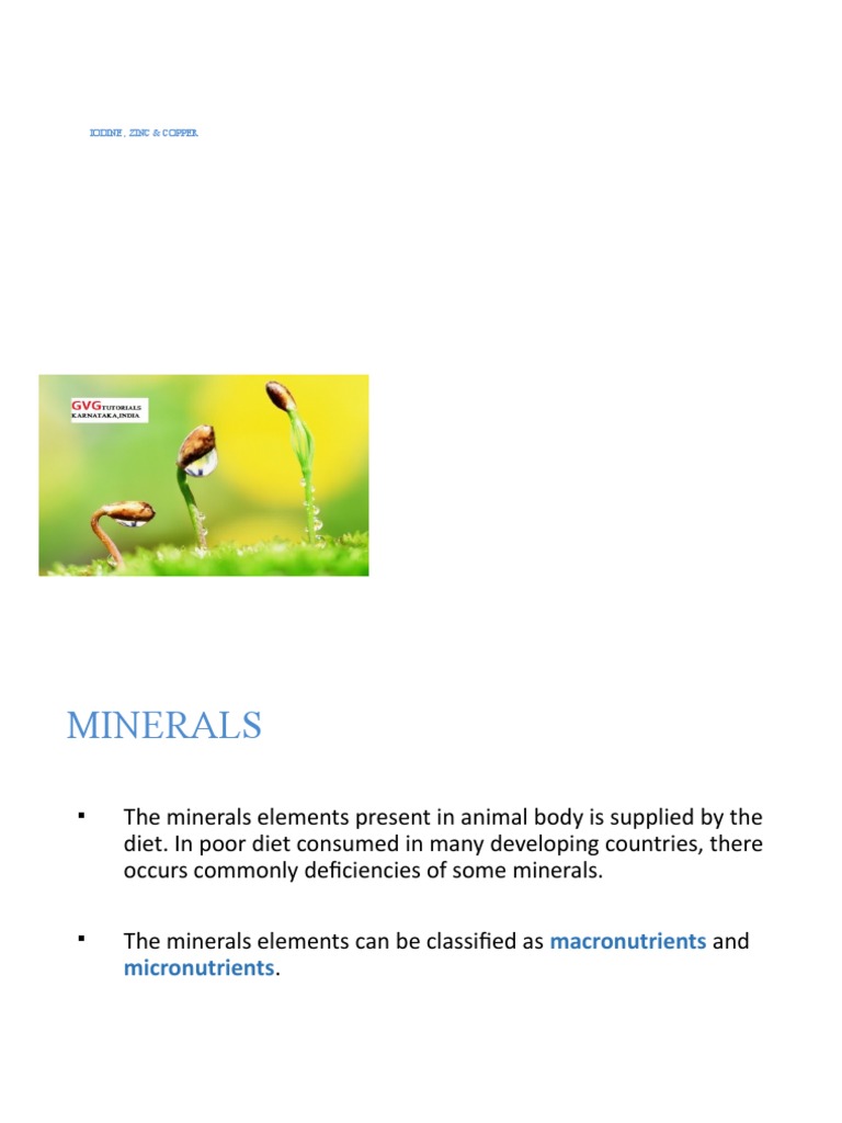 Iodine, Zinc & Copper PDF Nutrients Iodine