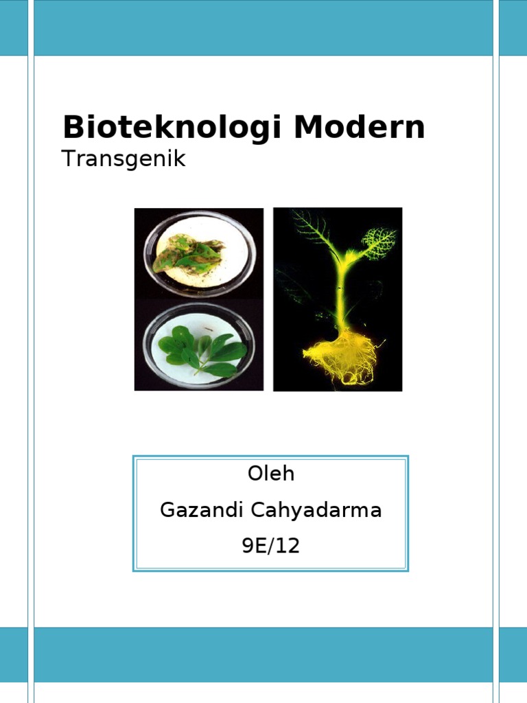 artikel transgenik 