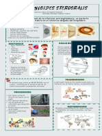 Parasotologia - Actividad Nº2 - Baner - Strongyloides Stercoralis-Banner