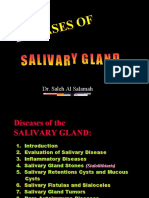 Salivary Gland Diseases: An Overview