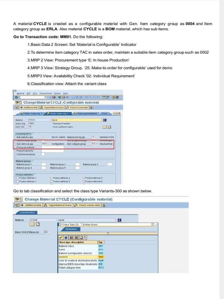 Variant Configuration Steps Guide | PDF | Computer Data | Computer Science