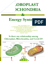 Chloroplast-Mitocondria and Energy Synthesis