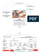 Pathway Hemofilia