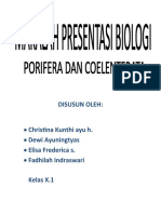 Porifera Dan Coelenterata