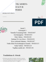 Karakteristik Morfo-Anatomi Struktur Vegetatif Spesies Rhizopora Apiculata (Rhizoporaceae)