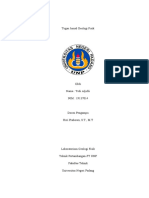 Tugas Jurnal Geologi Fisik