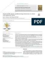 Vitamin D Regulates Energy Homeostasis via Hypothalamic Renin-Angiotensin System