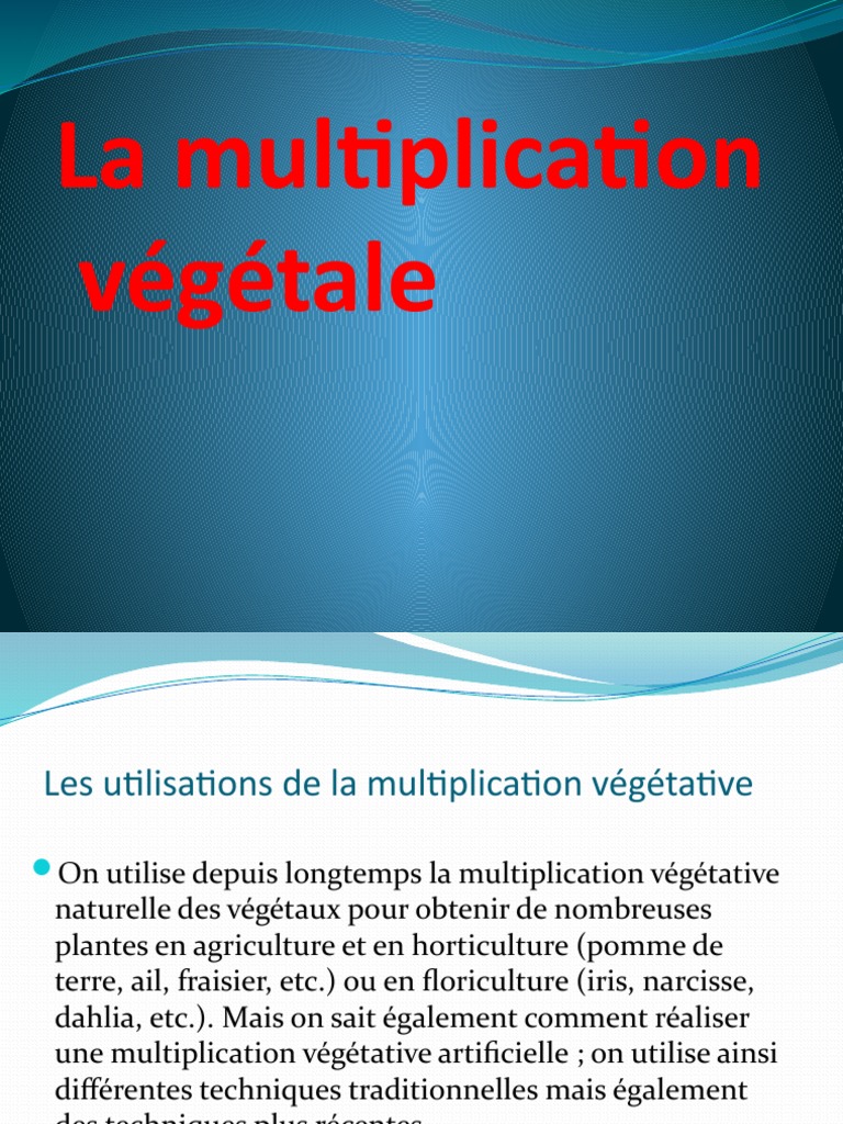 Techniques de Multiplication Végétative | PDF | Greffe (botanique ...