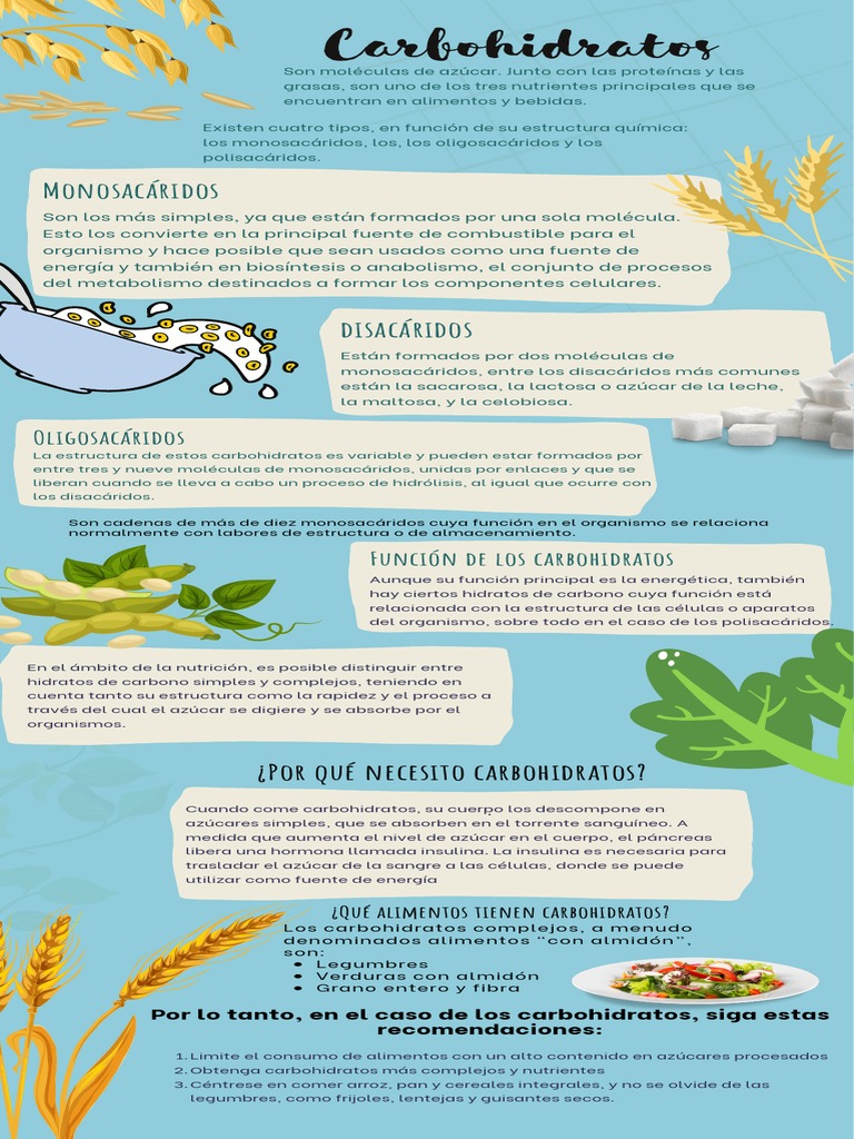 Carbohidratos Infografia Pdf Carbohidratos Sacarosa
