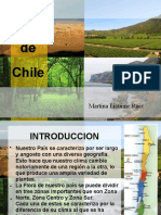 Plantas de Chile