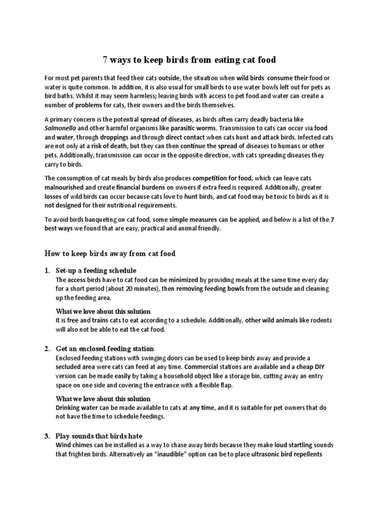 How To Keep Birds From Eating Cat Food PDF Cats Foods
