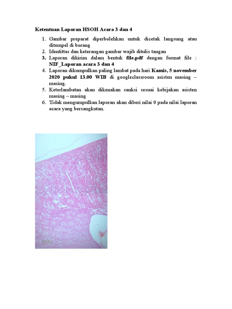 Ketentuan Laporan HSOH Acara 3 dan 4 | PDF | Karier & Perkembangan | Bisnis