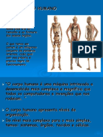 diapositivos_corpo humano-niveis de organizacao com destaque para os tecidos 