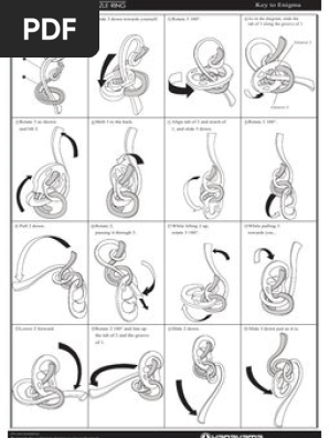 Hanayama Enigma Puzzle Solution Guide | PDF | Nature