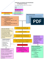 Esophageal Varices Concept Map