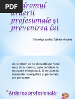 Seminar Ardere Profes.