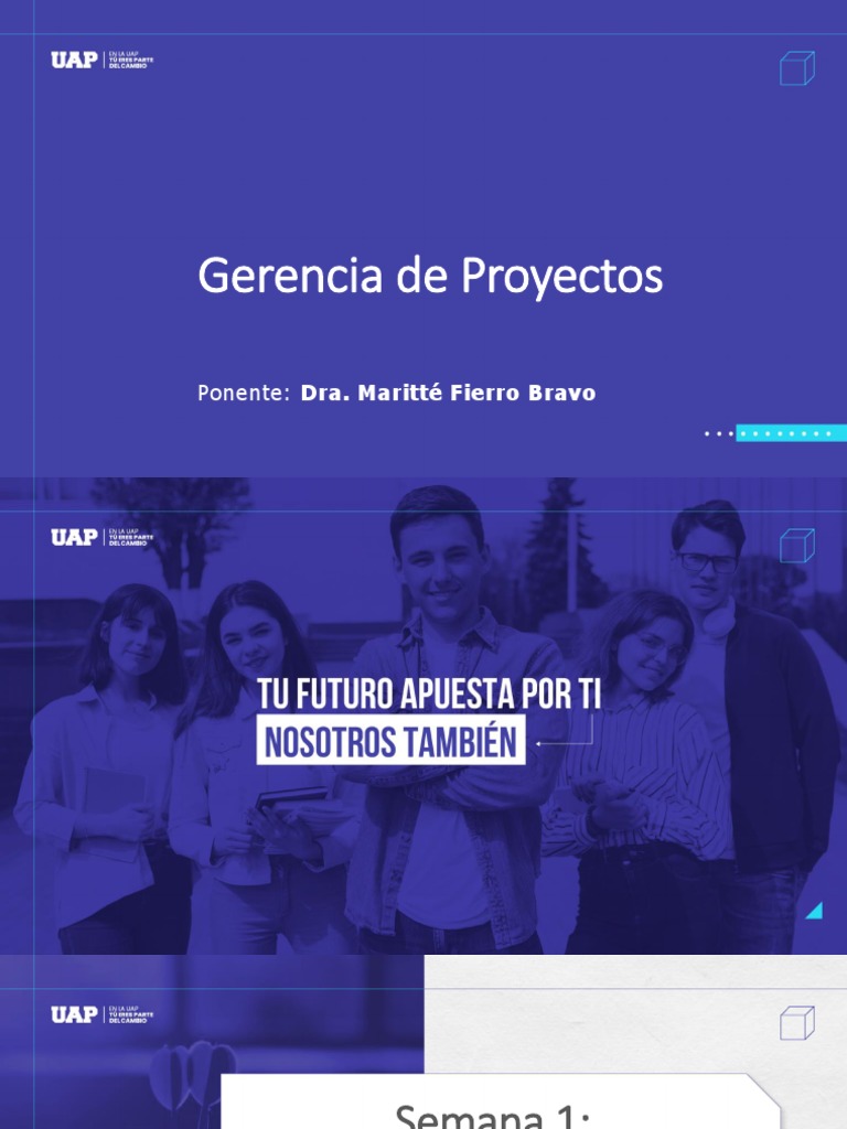 Introducción a la Gerencia de Proyectos | PDF | Gestión de proyectos ...