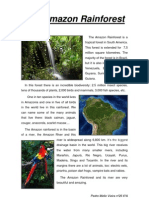 The Amazon Rainforest: Pedro Mello Vieira Nº26 6ºA