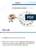 Chapter I: Cellular Basis of Heredity