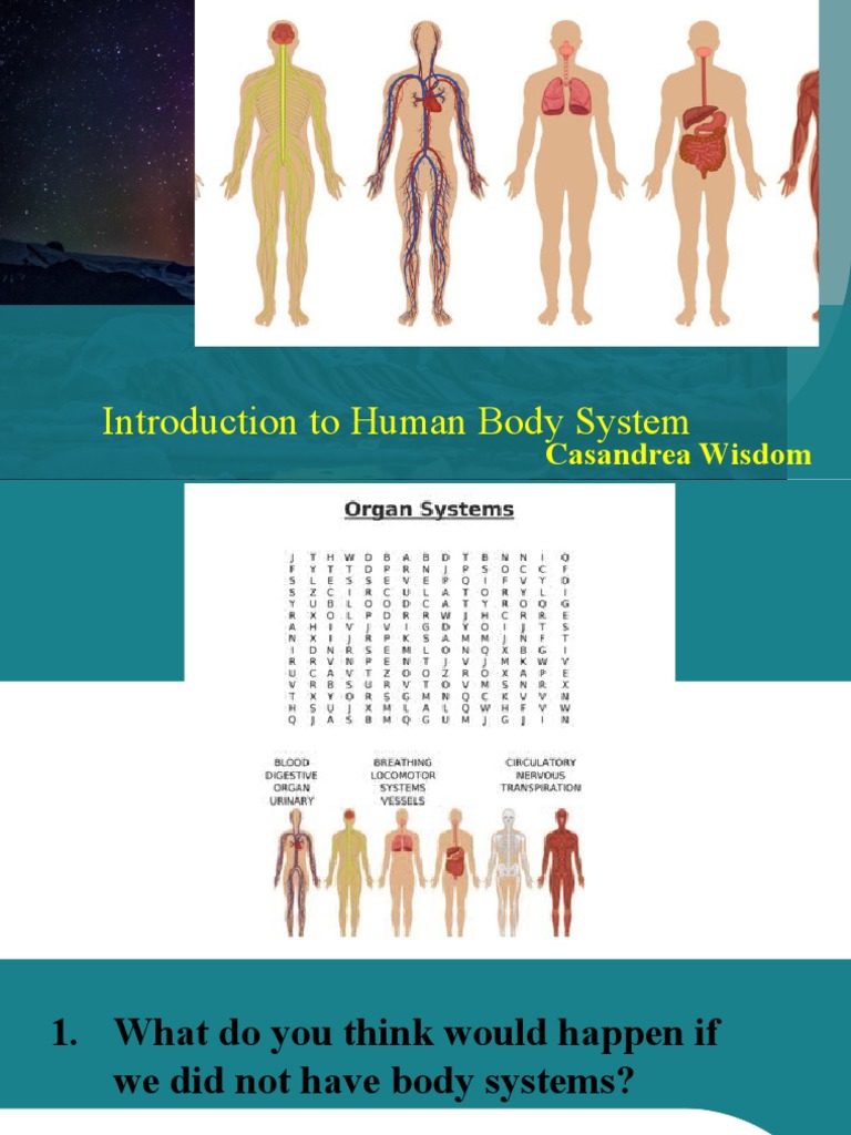 System of The Human Body Biology Diagrams