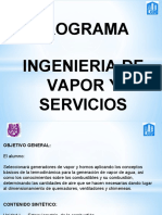 Programa IVS