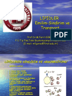 Lipidler Emilim-Sindirim Ve Transport