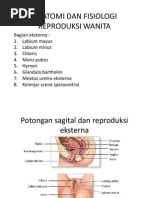Makalah Reproduksi Wanita