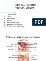 Anatomi Dan Fisiologi Reproduksi Wanita