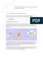 Mi Tarea 8 BBDC