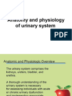 Anatomy and Physiology of Urinary System