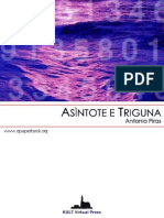 Antonio Piras - Asintote e Triguna