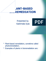 Plant-Based Bioremediation: Presented by Kashmala Ilyas