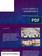 La Salmonela (Salmonella Choleraesuis) (Autoguardado)