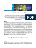 Causas de Condenação Parcial de Carcaças de Frangos: Resumo