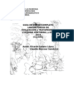 Guía de evaluación y tratamiento de la columna vertebral