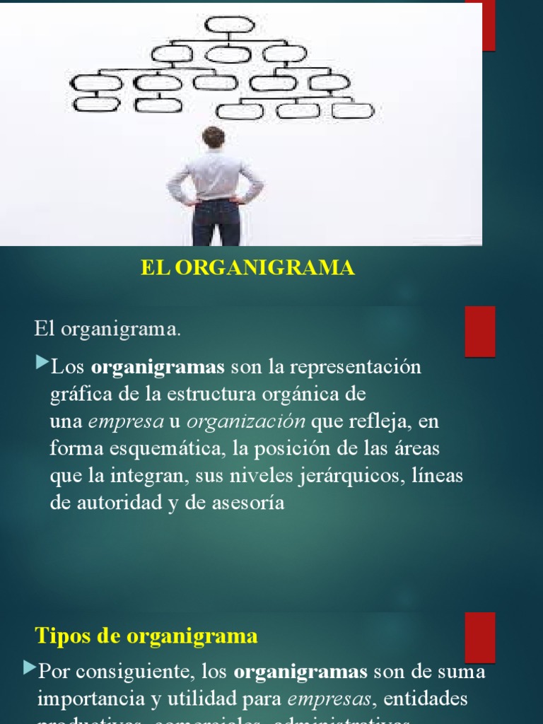 Tipos y Usos de Organigramas | PDF | Crecimiento personal y profesional ...