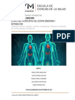 Sistema endocrino y reproductor: estructuras microscópicas