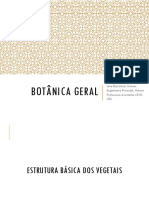 Aula 4 Estrutura Bc3a1sica Dos Vegetais Raizcaulefolhas