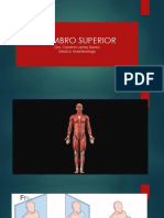 Osteología Miembro Superior (Autoguardado) (Autoguardado)