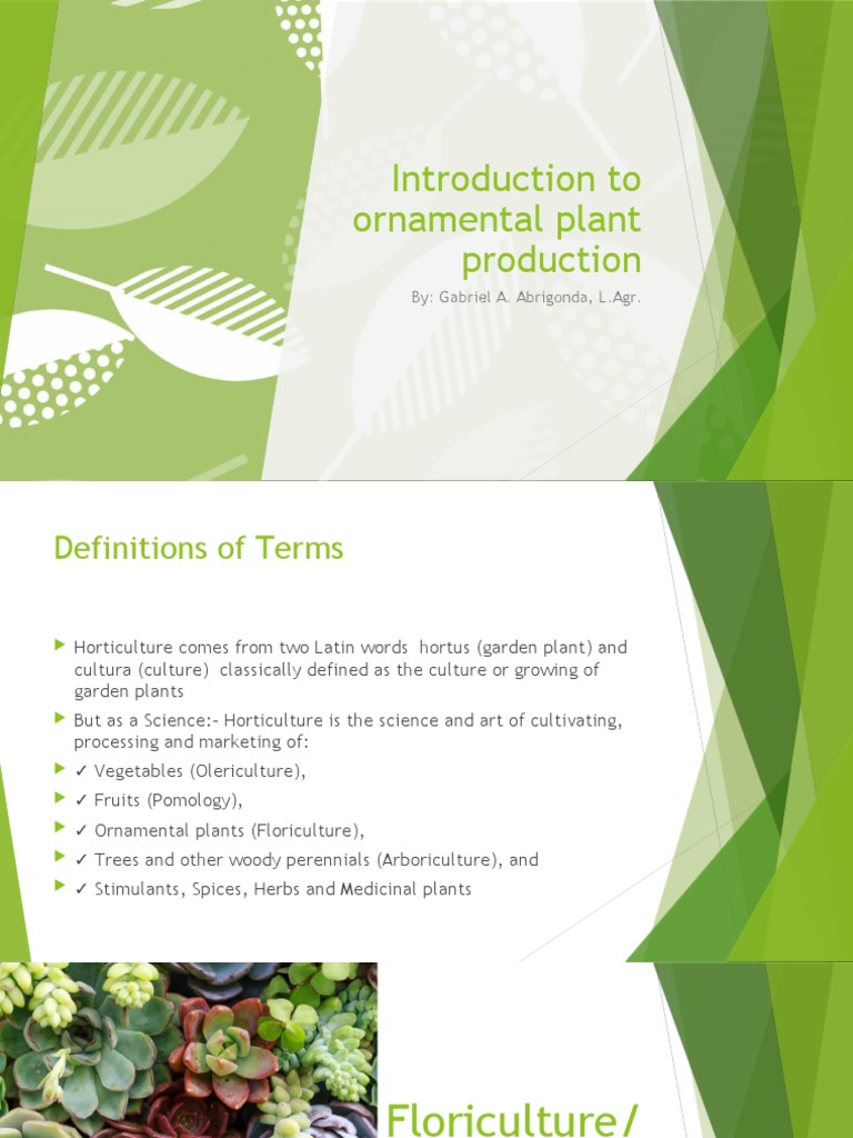 Ornamental Plant Production Overview | PDF | Horticulture | Plants