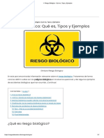 3.- Riesgo Biológico - Qué Es, Tipos y Ejemplos