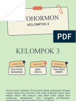 Kelompok 3 Fitohormon