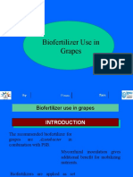 Biofertilizer Use in Grapes - 2 - 0