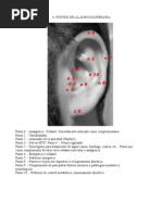 11 puntos de auriculoterapia