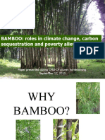 Bamboo Roles in Climate Change, Carbon Sequestration and Poverty Alleviation