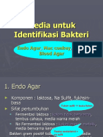 Media Untuk Identifikasi Bakteri