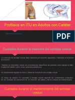 Profilaxis en ITU en Adultos con Catéter