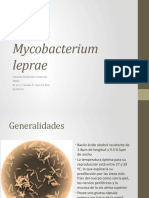 Mycobacterium Leprae