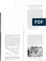 Molengraf 1922 On - Manganese - Nodules - in - Mesozoic - Deep-Sea - Deposits